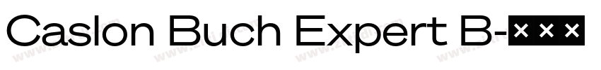 Caslon Buch Expert B字体转换